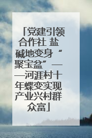 党建引领合作社 盐碱地变身“聚宝盆”——河涯村十年蝶变实现产业兴村群众富