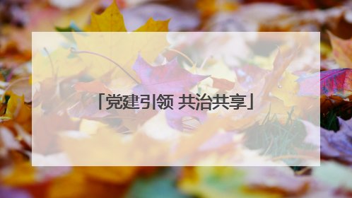 党建引领 共治共享