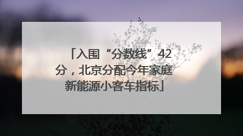 入围“分数线”42分，北京分配今年家庭新能源小客车指标