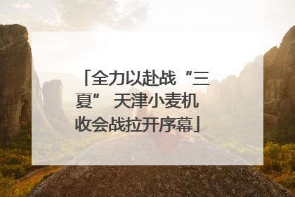 全力以赴战“三夏” 天津小麦机收会战拉开序幕