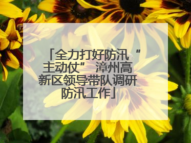 全力打好防汛“主动仗” 漳州高新区领导带队调研防汛工作