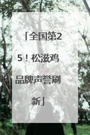 全国第25！松滋鸡品牌声誉刷新