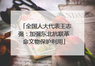 全国人大代表王志强：加强东北抗联革命文物保护利用