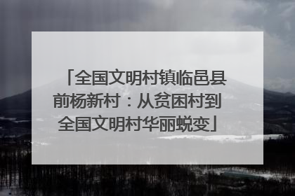 全国文明村镇临邑县前杨新村：从贫困村到全国文明村华丽蜕变