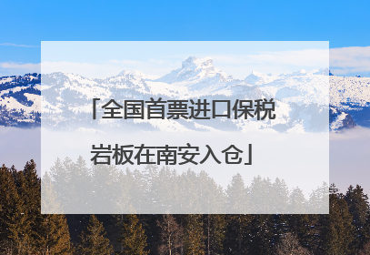 全国首票进口保税岩板在南安入仓