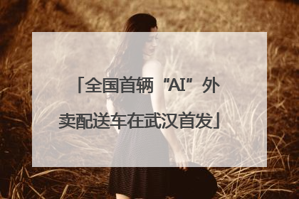 全国首辆“AI”外卖配送车在武汉首发