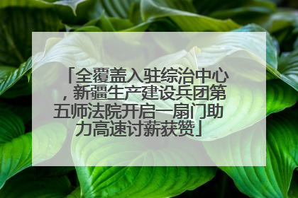 全覆盖入驻综治中心，新疆生产建设兵团第五师法院开启一扇门助力高速讨薪获赞