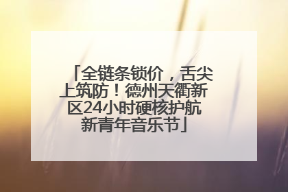 全链条锁价，舌尖上筑防！德州天衢新区24小时硬核护航新青年音乐节