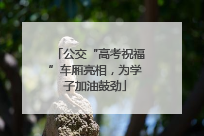 公交“高考祝福”车厢亮相，为学子加油鼓劲