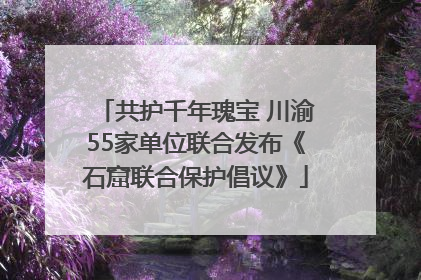 共护千年瑰宝 川渝55家单位联合发布《石窟联合保护倡议》