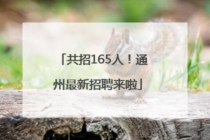 共招165人！通州最新招聘来啦