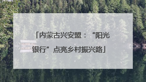 内蒙古兴安盟：“阳光银行”点亮乡村振兴路