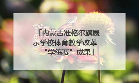 内蒙古准格尔旗展示学校体育教学改革“学练赛”成果