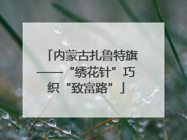 内蒙古扎鲁特旗——“绣花针”巧织“致富路”
