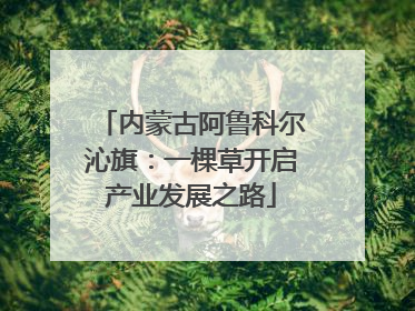 内蒙古阿鲁科尔沁旗：一棵草开启产业发展之路
