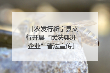 农发行新宁县支行开展“民法典进企业”普法宣传