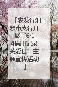 农发行汨罗市支行开展“6·14信用记录关爱日”主题宣传活动