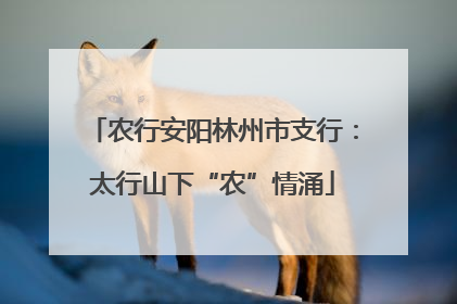 农行安阳林州市支行：太行山下“农”情涌