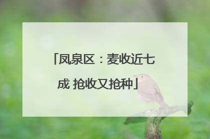 凤泉区：麦收近七成 抢收又抢种