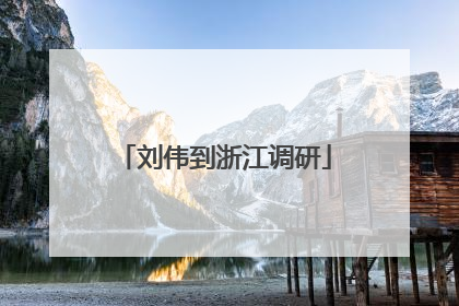 刘伟到浙江调研