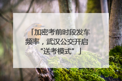 加密考前时段发车频率，武汉公交开启“送考模式”