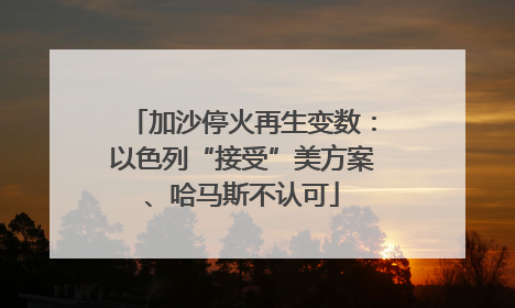 加沙停火再生变数：以色列“接受”美方案、哈马斯不认可