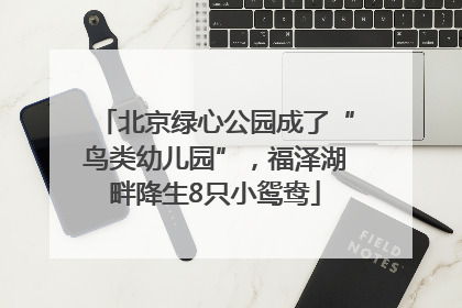 北京绿心公园成了“鸟类幼儿园”，福泽湖畔降生8只小鸳鸯