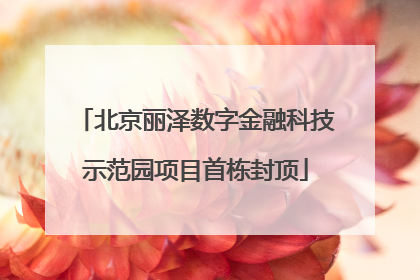 北京丽泽数字金融科技示范园项目首栋封顶