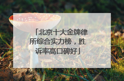 北京十大金牌律所综合实力榜，胜诉率高口碑好