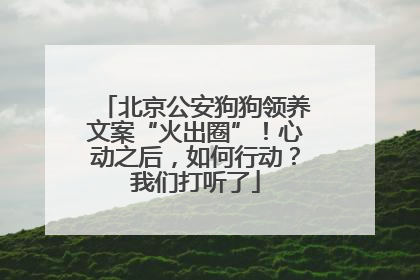北京公安狗狗领养文案“火出圈”！心动之后，如何行动？我们打听了