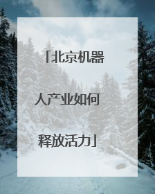 北京机器人产业如何释放活力