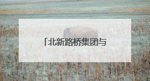 北新路桥集团与兴业银行乌鲁木齐分行开展座谈 深化银企协同发展