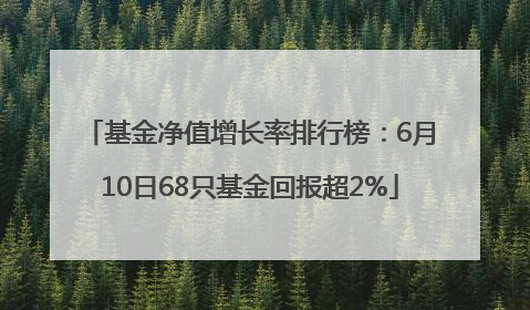 基金净值增长率排行榜：6月10日68只基金回报超2%