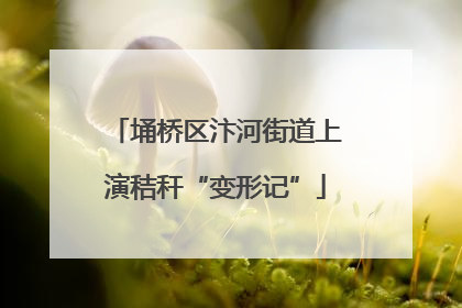 埇桥区汴河街道上演秸秆“变形记”