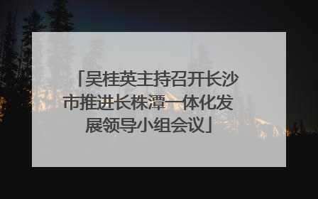 吴桂英主持召开长沙市推进长株潭一体化发展领导小组会议