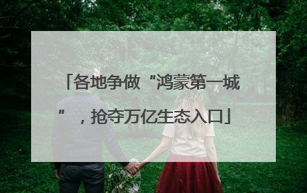 各地争做“鸿蒙第一城”，抢夺万亿生态入口