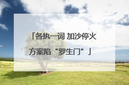 各执一词 加沙停火方案陷“罗生门”