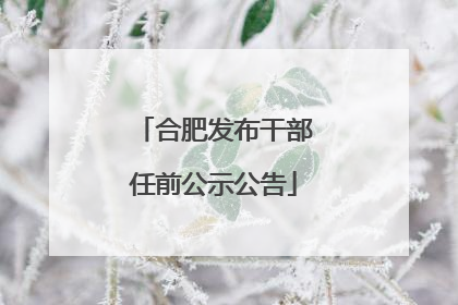 合肥发布干部任前公示公告