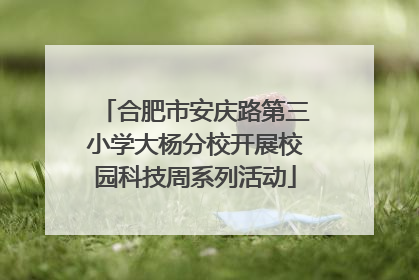 合肥市安庆路第三小学大杨分校开展校园科技周系列活动