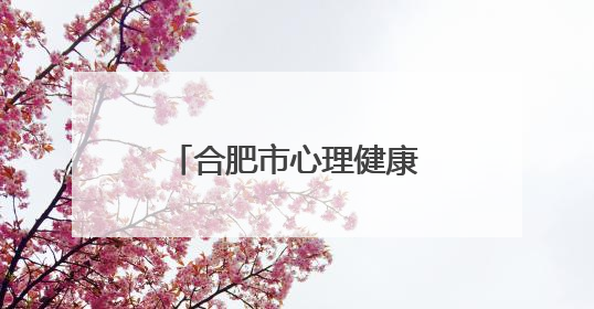 合肥市心理健康研究会正式成立