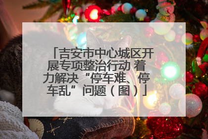 吉安市中心城区开展专项整治行动 着力解决“停车难、停车乱”问题（图）