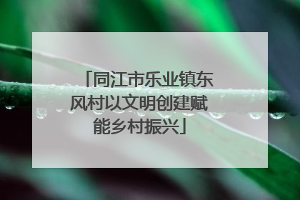 同江市乐业镇东风村以文明创建赋能乡村振兴