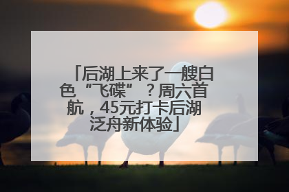 后湖上来了一艘白色“飞碟”？周六首航，45元打卡后湖泛舟新体验