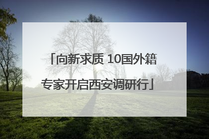 向新求质 10国外籍专家开启西安调研行