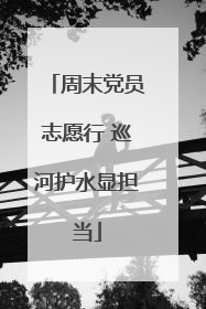 周末党员志愿行 巡河护水显担当