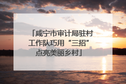 咸宁市审计局驻村工作队巧用“三招”点亮美丽乡村