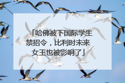 哈佛被下国际学生禁招令，比利时未来女王也被影响了