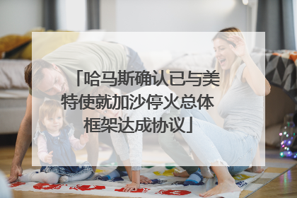 哈马斯确认已与美特使就加沙停火总体框架达成协议
