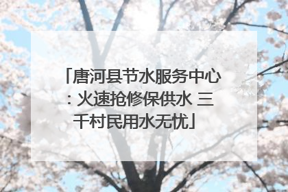 唐河县节水服务中心：火速抢修保供水 三千村民用水无忧