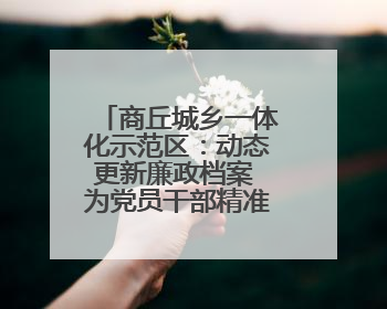 商丘城乡一体化示范区：动态更新廉政档案 为党员干部精准“画像”